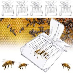 5PCS/Set Queen Bee Catcher Clip Cage Catching Beekeeping Equipment Plastic Clear