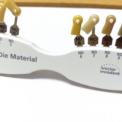 Ivoclar Vivadent Dental Shade Guide A-D 20 IPS Natural Die ND1-9 Bleach Teeth