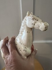 Horse Anatomical Teaching Model w/ Muscle Detail & Labeled Points on Wood Base