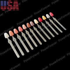 Dental 3D Gum A-D Shade Guide Pink Gingiva Aesthetic Composite Resin Restoration