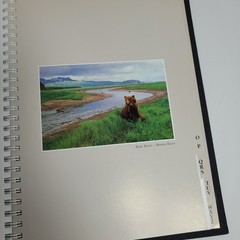 New: Images of Nature Address Book, Featuring Photos by Thomas Mangelsen