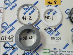 KSB 42099991 Shaft Sealing Kit Flange 18″ BWSE 18″ 3/16 INT.60 16/18IN