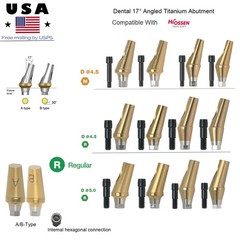 Hiossen ET Dental TI Cement-retained restoration 17° Angulated Abutment M/R Hex