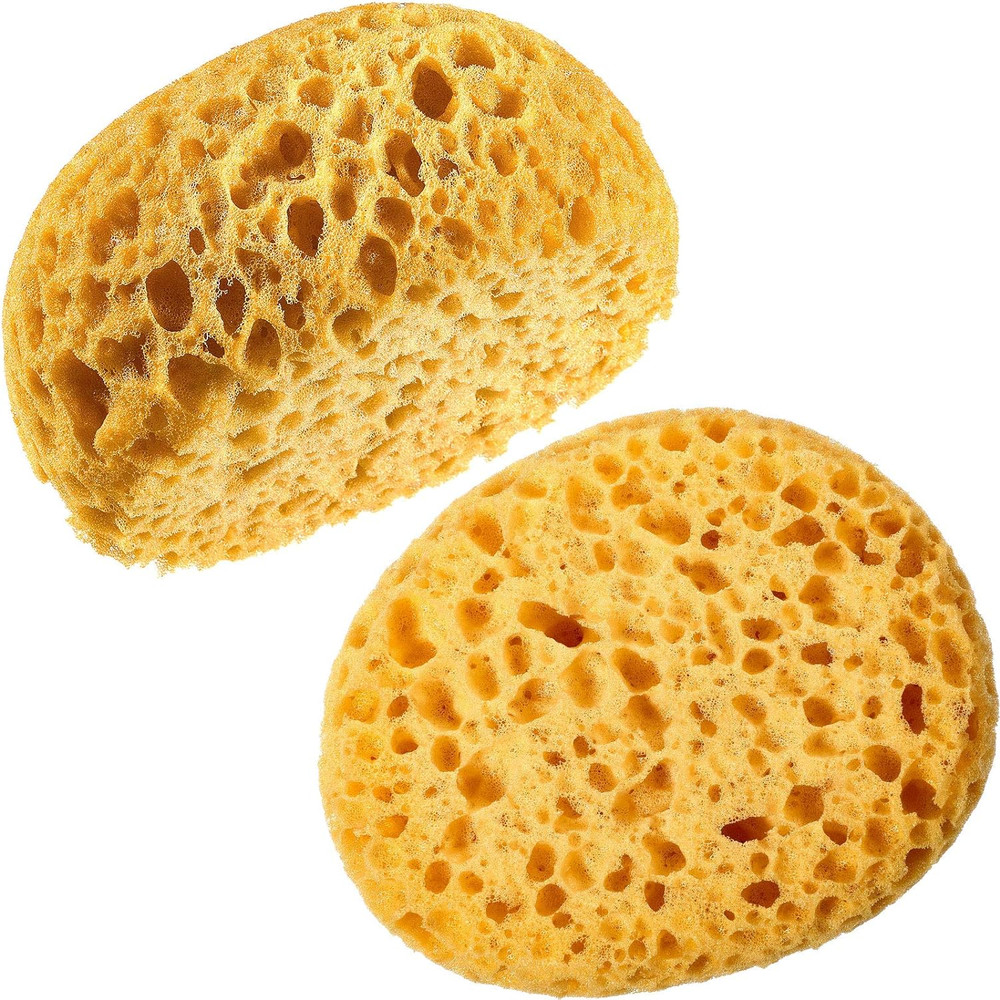 2 Knockdown Texture Sponges, DIY Painting Tools for Drywall and Ceiling Repair