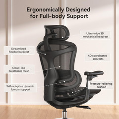 SIHOO Doro C300 Ergonomic Office Chair with Ultra Soft 3D Armrests, Dynamic Lumb