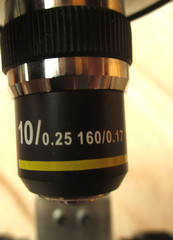 OMAX Microscope with Metric Sliding Ruler Measuring Stage, 295mm. with WF 10X/18