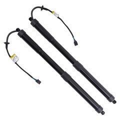2* Rear Trunk Tailgate Lift Supports Struts Shocks For Kia Sedona 3.3L 2015-2021
