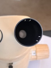 Leica MS5 Stereoscope