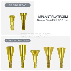 NC/RC Healing Cap Abutments Cover Screw Titanium Fit Straumann ITI BLT 1pcs