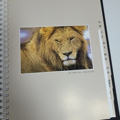 New: Images of Nature Address Book, Featuring Photos by Thomas Mangelsen