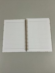 Notebook Coquette Pink Bow Lined Journal G110