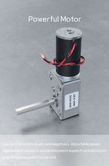 Worm Gear Motor DC 12V 24V Reversible High Torque 5840-31ZY Shaft Length 51 mm