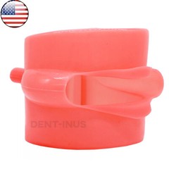 US Dental Simulation Cheek Rubber for Typodont Practice 1:1 Standard Teeth Model