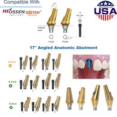 US 17° Angulated & Straight Transfer Abutment Fit Osstem/Hiossen Hex Titanium