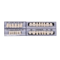 168Pcs Acrylic Resin Denture #22 Dental Upper Lower Shade A2 Teeth Set 22# A2 US