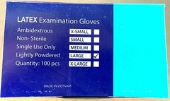 1,000 pcs Latex Disposable Gloves, Lightly Powdered (10 Boxes of 100, Large)