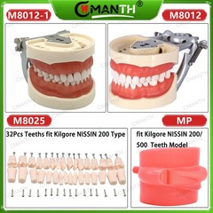 Multiple Types Dental Teeth Model Ortho Implant Practice Teaching Demo Model