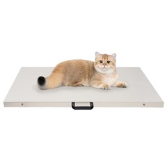 300Kg*0.1kg Platform Digital Floor Scale Postal Animal Vet Pet Weighting Scale