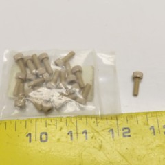 NBK SPE-M 4*12-C M4 x .7mm x 12mm Long PEEK Plastic Socket Head Cap Screw Lot/20