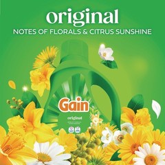 Gain 12783CT 25 oz Bottle Liquid Laundry Detergent – Gain Original (6/CT) New