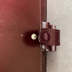 Vintage Filofax Professional Oxblood Burgundy A5 Real Leather 9 Ring No Inserts