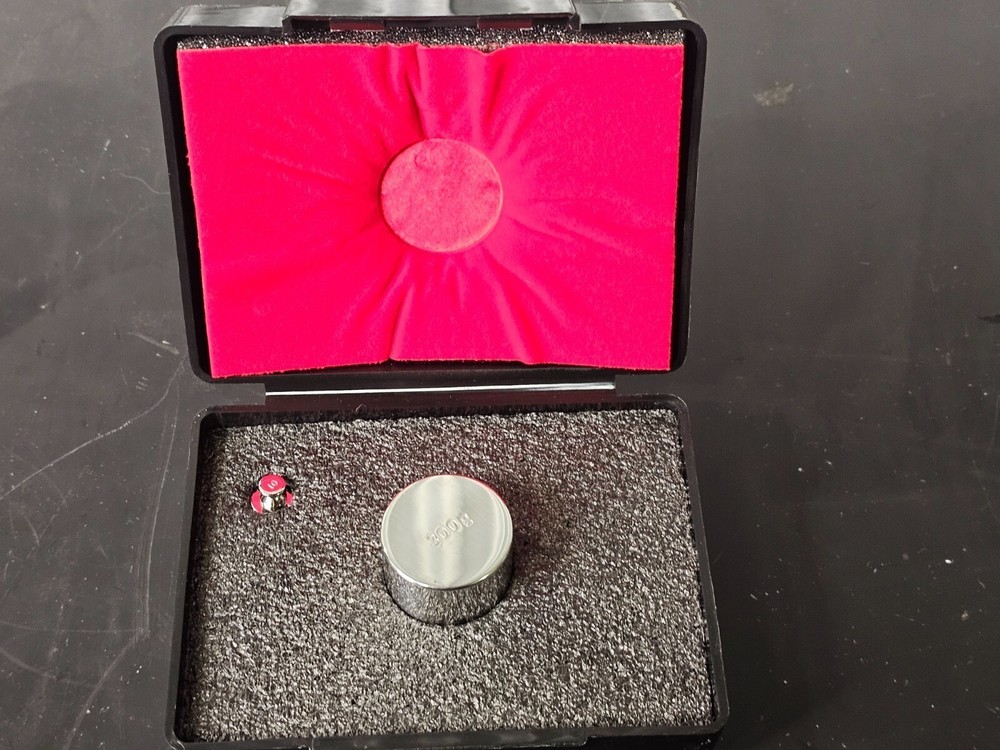 RICE LAKE 300g and 10 g CALIBRATION WEIGHT SET WITH CASE. CALIBRATED: 02/2024