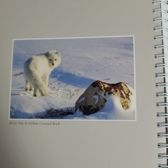 New: Images of Nature Address Book, Featuring Photos by Thomas Mangelsen