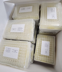 Filtered Pipette Tips 300ul/Box of 960 tips/Exp: 06/16/2028
