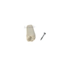 Columbia Dentoform 860 Dental Typodont 32PCS Teeth Replacement Removable