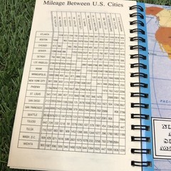Vintage 1995-97 Michael Stevens 12 Months Spiral Mini Planner 6”x4”clean