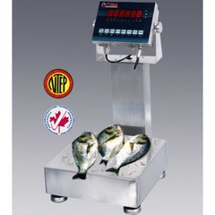 Optima NTEP Bench Digital Scale With LCD Display 100lb x 0.02lb 14″ x 12″