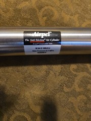 Airpel Pneumatic anti Cylinder Anti-Stiction M 24 D 100.0 U 0205Y Pressure 0.7