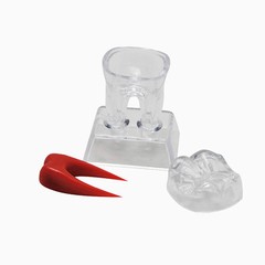 Dentist Dental Crystal Base Hard Plastic Teeth Tooth Molar Model Separable