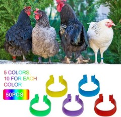 Durable 20mm Poultry Leg Bands – 50 Pack with 5 Vibrant Colors for Easy Sorting