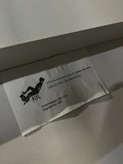 MRI Patient Stretcher