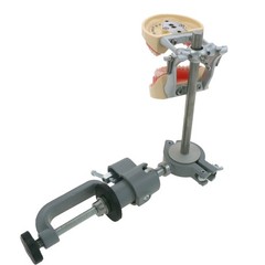 Kilgore Nissin 200 Type Dental Mounting Pole Typodont Model 32pc Removable Teeth