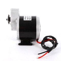 350W 24V DC Electric Motor for Bicycle Bike Scooter MY1016Z3 Gear Reduction