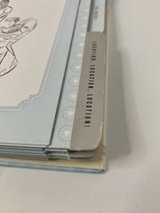 Wedding Planner & Organizer Hardcover Mindy Weiss Ring Binder Illustrated Book