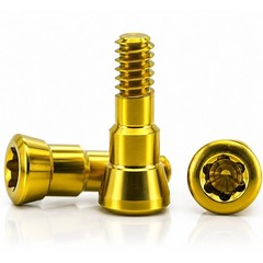 US Healing Abutment Closure Cover Screw Cap N/RC fit Straumann Bone Level BL BLT