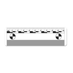10cm Photomacrographic Scales, 5pk