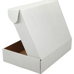 50 Pack 9x6x2 inch White Small Shipping Boxes Mailer Corrugated Cardboard