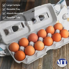 MT Products Blank Natural Pulp Paper Egg Cartons | Holds 12 Eggs – Pack of 15