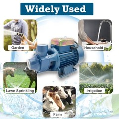 1HP Clear Water Pump Electric Transfer Centrifugal Bio Diesel Pond Pool Farm US