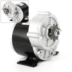 350w 24v 2 Poles Brushed Motor Electric Vehicle Geared Motor Decelerate Motor
