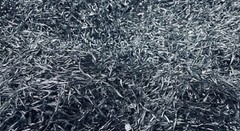 5lb Aluminum Metal Shavings 6061 chips. Fast, Free Shipping Small Business USA