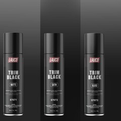 LAUCO Trim Black Gloss Automotive Spray Paint – 13 oz Aerosol Can for Plastic,