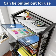 12-Tier Rolling File Organizer Cart – Stylish Black Metal Storage Solution