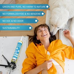 PAULINN Silicone Sealant, 100% Silicone Caulk Clear Waterproof for RV, Kitchen,