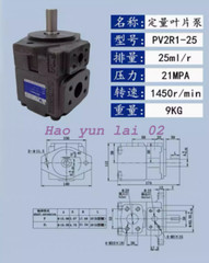 1PC New For YLC PV2R1-25RAF1 Variable Vane Pump 25ml/r 21MPA 1450r/min