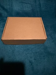 SP21058 Pilot Assembly Replacement Kit, for Rheem Water Heaters, Pilot Burner